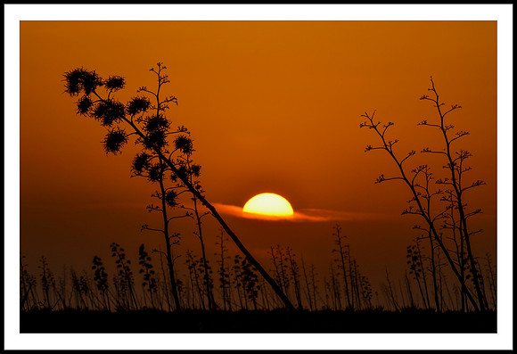 Dulce atardecer